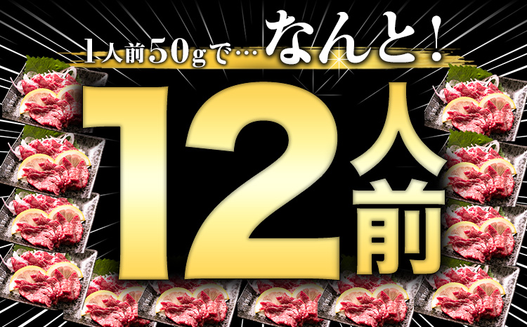厳選赤身馬刺し 計600g 100g×6パック 赤身馬刺し 馬刺し 馬肉 赤身《7月中旬-9月末頃に出荷予定》---fn_fjsgnak_j79_23_10000_600g---st-p