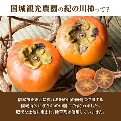 ふるさと納税 橋本市 【2025年度発送分】国城観光農園の紀の川柿11〜12個(2L〜3Lサイズ) |  | 01