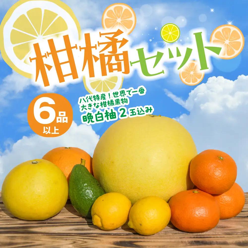 【先行予約】 柑橘セット 6品以上(晩白柚2玉込み) ばんぺいゆ 柑橘【2026年12月上旬より順次発送】