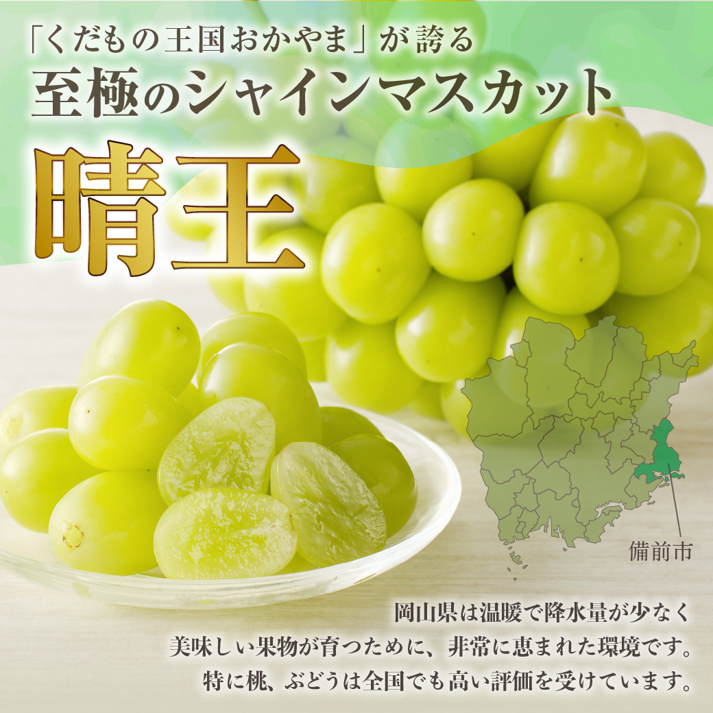 【ANA限定】【2025年発送分 先行受付スタート】岡山県産シャインマスカット「晴王」 秀品  1房 （約800g）【シャインマスカット 大房 大粒 岡山県産 秀品 種無し 高糖度 葡萄 ぶどう 御中