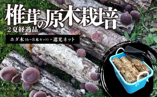 
                  椎茸の原木栽培2夏経過品 ／ 家庭菜園 お手軽 栽培キット 自由研究 鑑賞 原木 きのこ しいたけ【  岐阜県 可児市 栽培キット 原木栽培 きのこ キノコ 家庭菜園 椎茸 料理 調理 国産 自由研究】
                