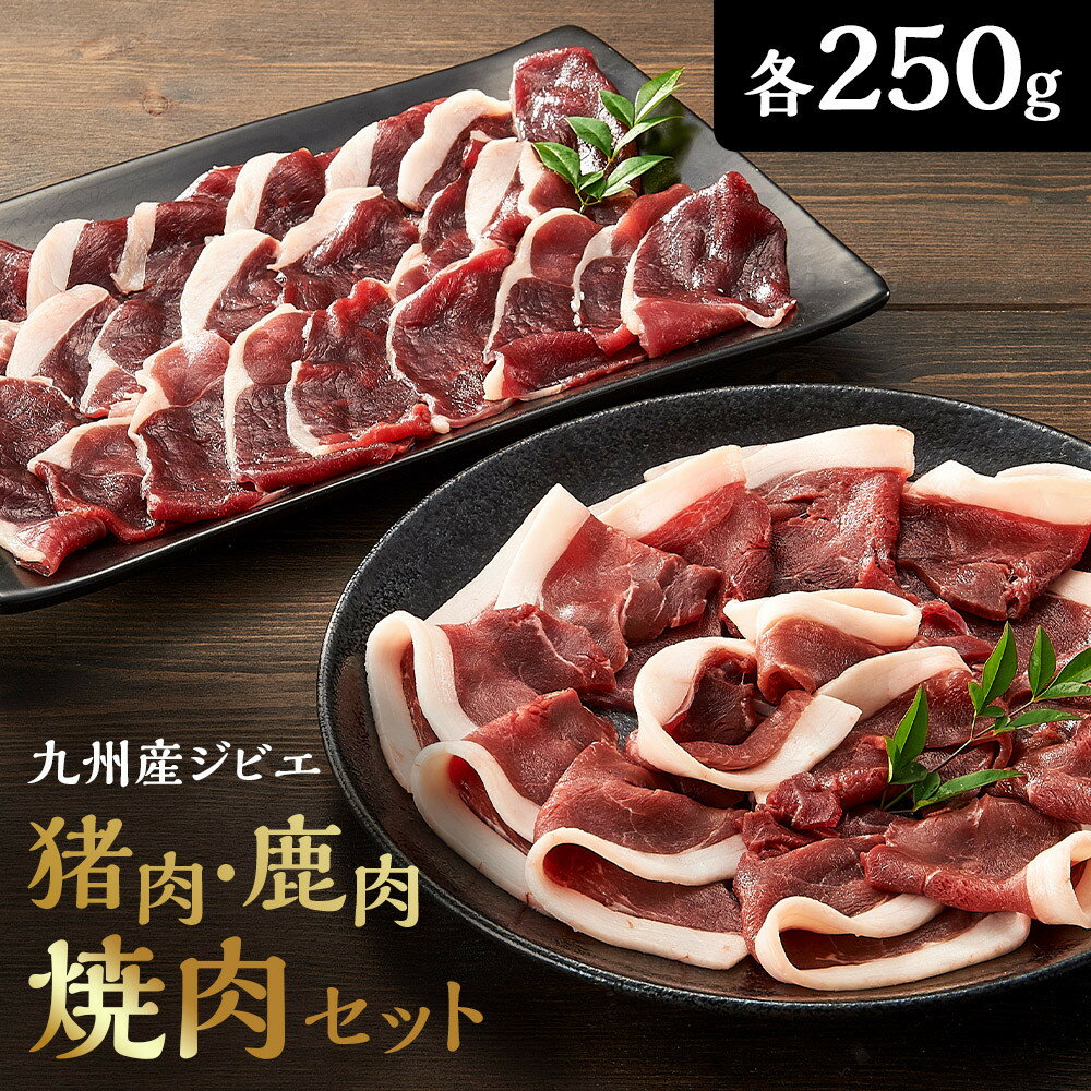 【ふるさと納税】九州産ジビエ猪肉250g・鹿肉焼肉250gセット | 肉 お肉 にく 食品 人気 おすすめ 送料無料 ギフト 由布 由布院