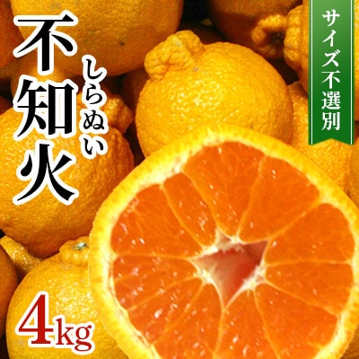 【先行予約 2026年1月下旬～発送予定】 不知火 約4kg サイズ不選別 (宇城市)【1696052】