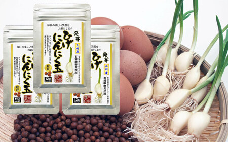 【発芽ひげにんにくと有精卵】 ひげにんにく玉 3袋（1袋60粒入） / にんにく卵黄 にんにく ニンニク にんにく玉 健康食品 / 佐賀県 / 日本にんにく[41AAAO003]
