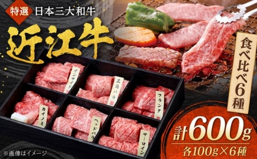 近江牛 バラ・モモ・ロース おまかせ6種 各100g 焼肉すだく 国産牛 / 牛肉 黒毛和牛 食べ比べセット 希少部位 高級 / 栗東市 / 株式会社総合近江牛商社[BIBX002]