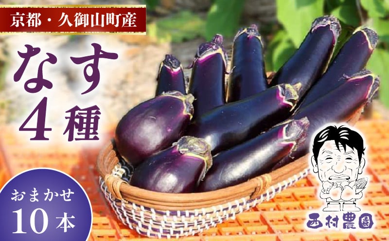 
            季節限定 京都 なす 4種類 おまかせ 10本 （水なす フルーツなす 千両なす ふわとろ長なす）10000円 1万円 ナス 京都府 夏野菜 天ぷら 揚げ物 マーボー バーベキュー 焼き肉 夏 久御山町 レシピ 人気 野菜 
          