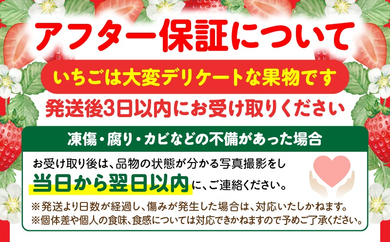 【先行受付】【年内発送】三木町地域いちご部会「さぬきひめ」約1kgDXパック | スイーツ いちご ストロベリー イチゴ さぬき姫 さぬきひめ 苺 甘い 大粒 冷蔵 フルーツ 旬 果物 香川県 デザート 青果物 贈答 プレゼント 贈り物 おすすめ |_mk006-016