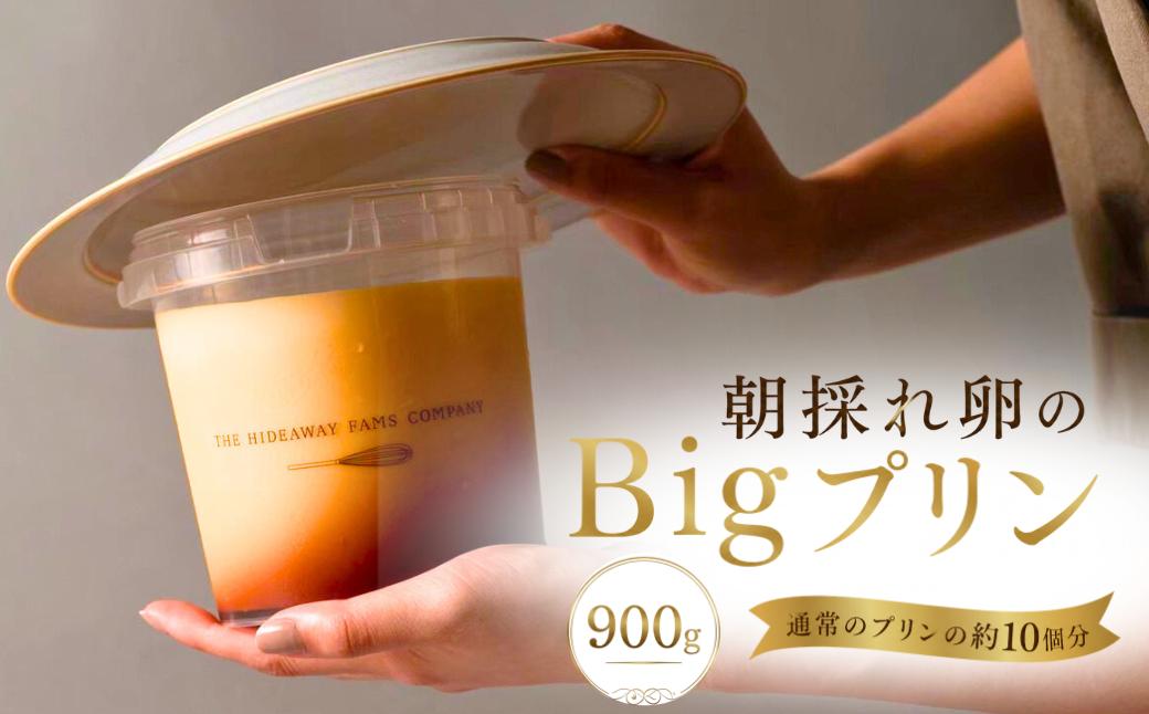 
                  Bigプリン
                