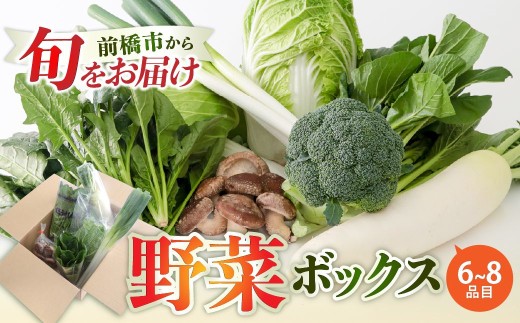 季節の野菜 詰め合わせセット 6～8品目 | 野菜セット 新鮮 旬野菜 朝どれ 農家直送 旬 野菜 鮮度 赤城山麓 群馬野菜 国産野菜 詰め合わせ 野菜詰合せ おまかせ野菜 野菜便 お取り寄せ 産直野菜 群馬県 前橋市