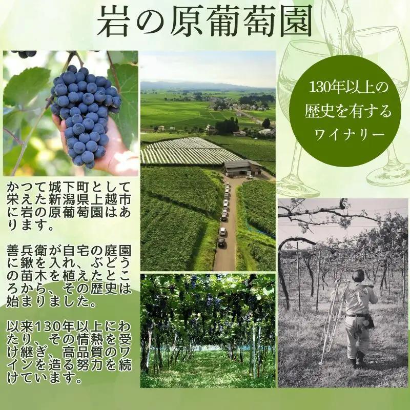 ワイン フェミナリーズ世界ワインコンクール2024 金賞 岩の原ワイン 善 白 12本 720ml 最短3日で発送