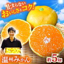 【ふるさと納税】【期間限定】長崎県産 温州みかん 約5kg / みかん 柑橘 5kg フルーツ 果物 / 大村市 / 山光農園[ACAI002]