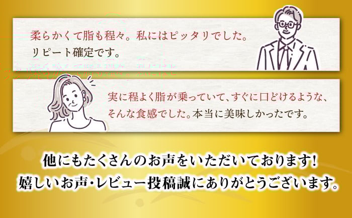 ヒレ ステーキ 長崎和牛
