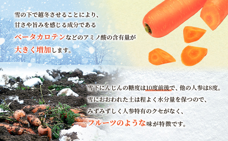 雪下にんじん 4kg 人参 にんじん ニンジン 越冬 オンライン 申請 ふるさと納税 北海道 留寿都 野菜 春 旬野菜 季節野菜 甘い フルーツ みずみずしい 産地直送 新鮮 採れたて サラダ カレー