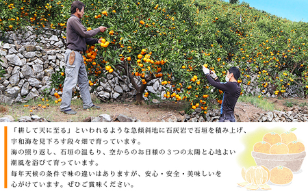 ＜愛媛県西予市産 柑橘詰め合わせ 合計約5kg＞ 果物 フルーツ お任せ おまかせ お楽しみ みかん ミカン 蜜柑 食べ比べ 詰合せ セット ご家庭用 柑橘 特産品 夕焼け山農園 愛媛県 西予市 【常