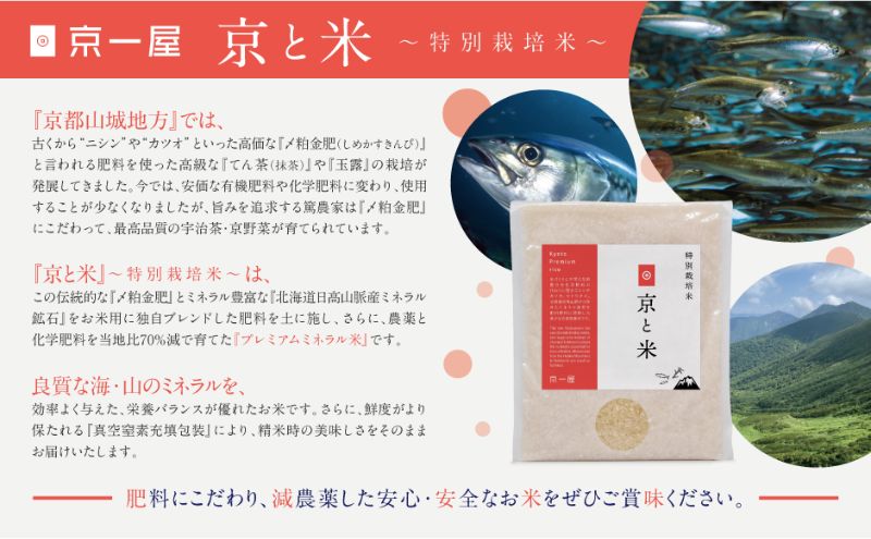 京都府京田辺市産 京と米 ヒノヒカリ 6kg (2kg×3袋) R7年度産 お米 米 こめ コメ 精米 白米 ごはん ご飯 弁当 おにぎり 真空 長期保存 防災 京田辺市 京都府 kt2026