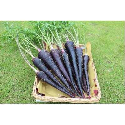 ふるさと納税 南城市 黒人参セット |  | 01