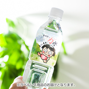 おためしAセット 南足柄 金太郎の力水 ラベルレス 500ml×48本（24本入×2箱）【 飲料水 天然水 ミネラル ウォーター 美味しい 水 お水 まとめ買い 災害 備蓄品 保存 神奈川県 南足柄市