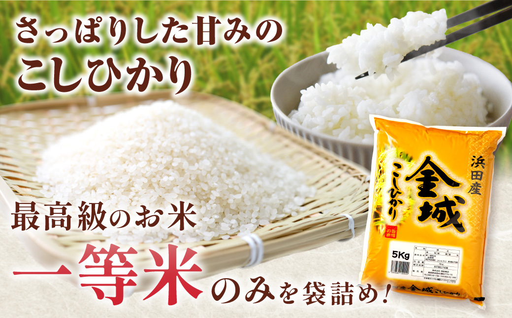 【令和7年産】浜田市金城町産こしひかり　５kg×２袋 お取り寄せ 特産 精米 白米 ごはん ご飯 コメ 新生活 応援 準備 10キロ 【058_1844】