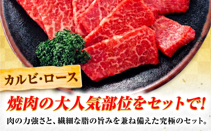 飛騨牛 A5等級 焼肉用 カルビ・ロース 500g カルビ カルビ焼肉 カルビ肉 ロース 焼肉 焼き肉 やきにく 焼肉セット 焼肉用 赤身 最高級 a5 A5 牛 和牛 牛肉 お肉 高級 贈答ギフト 