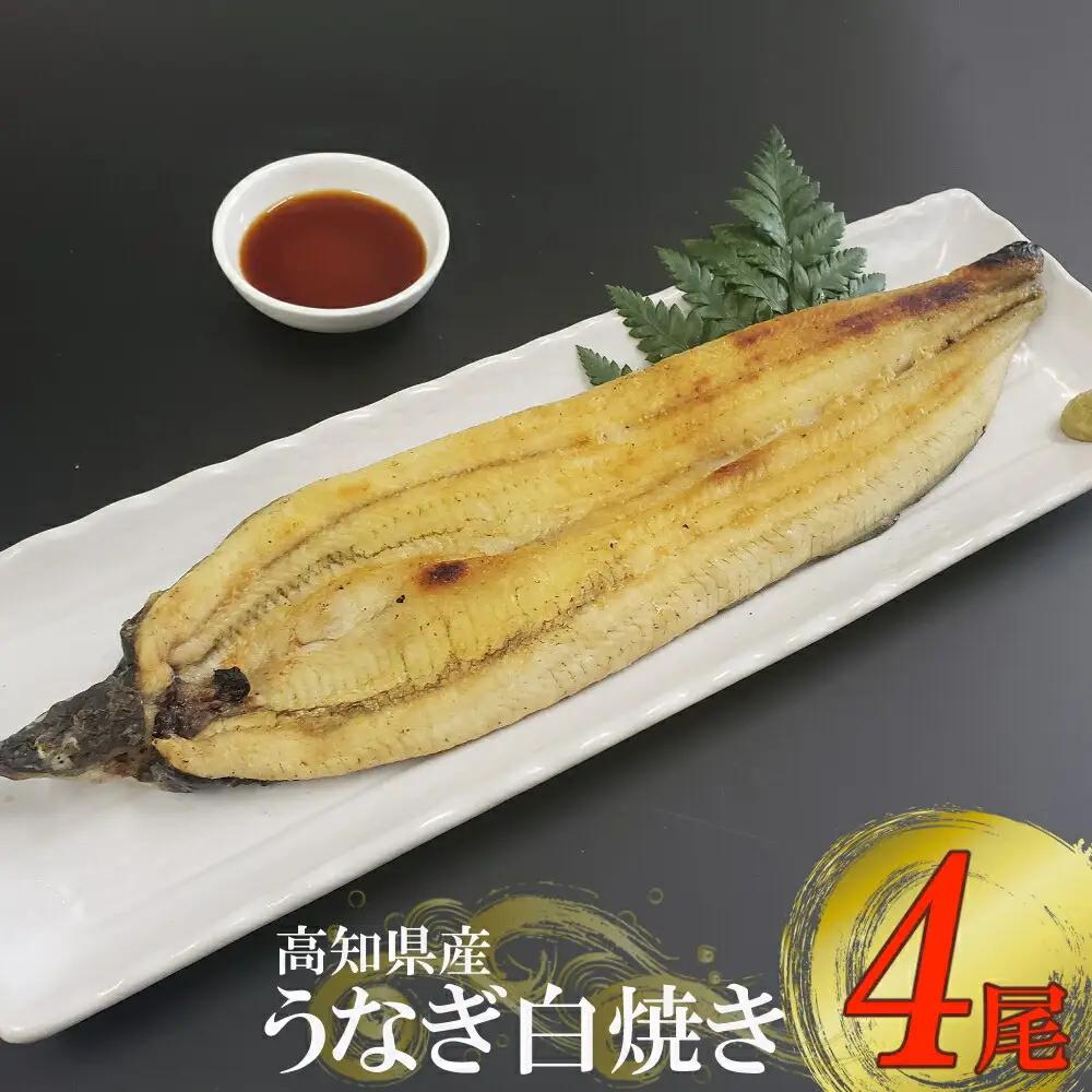 高知県産うなぎ 白焼き 4尾（約170g） 白焼き yj037