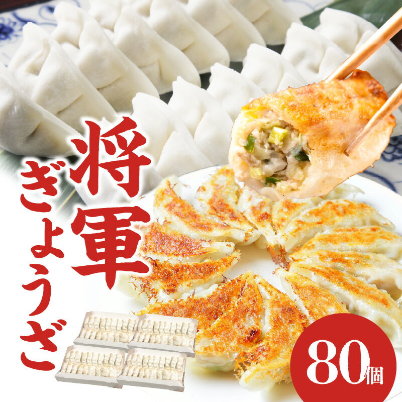 【ふるさと納税】将軍ぎょうざ 80個 (20個×4箱) 餃子 中華 惣菜 大分県産 ブランド豚 米の恵み 製麺メーカー もちもち パリパリ 最高級 皮 九州産 野菜 地産地消 ギョーザ 冷凍 簡単調理 専門店 中華 製麺所 生餃子 20個入り 4パック A02031