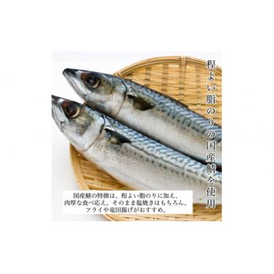 ふるさと納税 小松市 国産鯖の切り身 甘塩仕立て 20切れセット 小分け 冷凍サバ 骨取りさば |  | 01