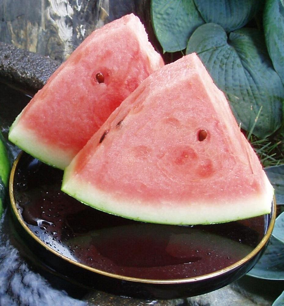 【わけあり品】八色原すいか大玉１玉