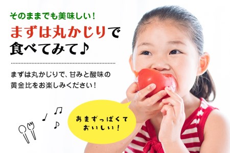 ＜2024年1月～出荷予定＞ 数量限定 先行予約 爆音トマトと呼ばれるフルーツトマト「百里百」 2kg 甘い 酸味 肉厚 大玉 産地直送 とまと 健康 リコピン 百里基地 戦闘機 国産 茨城県 小美玉
