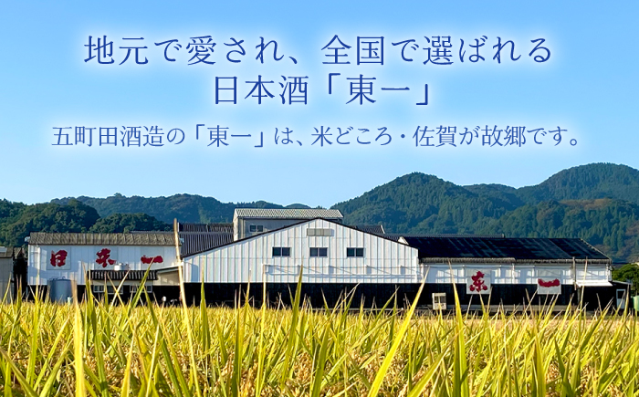 【6回定期便】東一 山田錦純米酒 1.8L 1本 【嬉野酒店】 [NBQ117] 五町田酒造 日本酒 酒