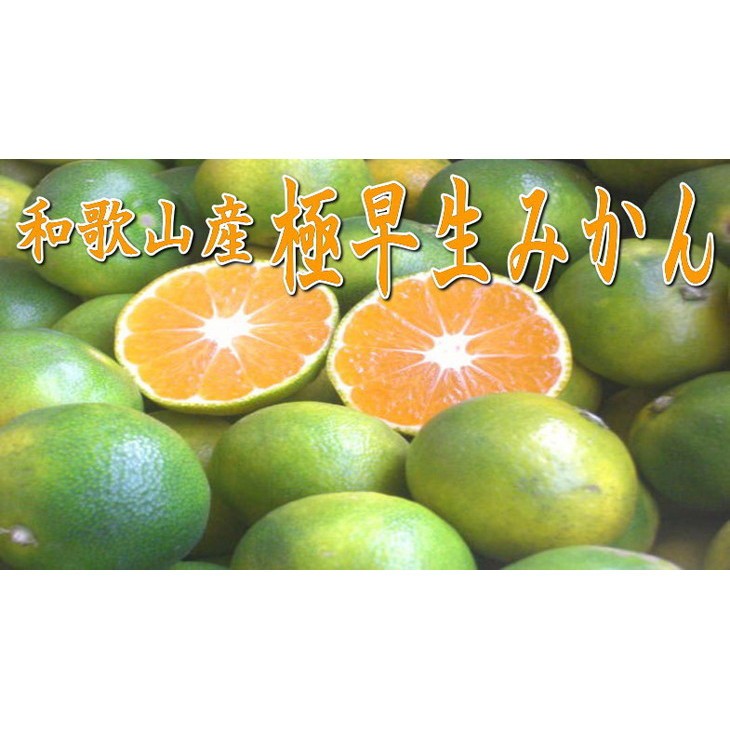
                  「濃厚な味のとろける美味しさ」極早生みかん 《先行予約》約2.5kg 甘酸っぱいみかん
                