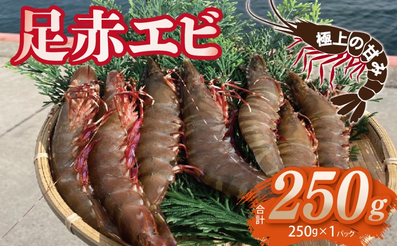 010B1862 足赤エビ 250g【国産 えび 天然 ぷりぷり 海鮮 水揚げ 生食可】