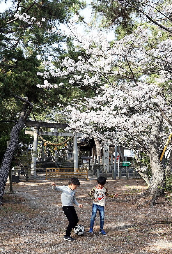 二科展写真作家が撮影！碧南市内での記念撮影 データ納品　H159-006