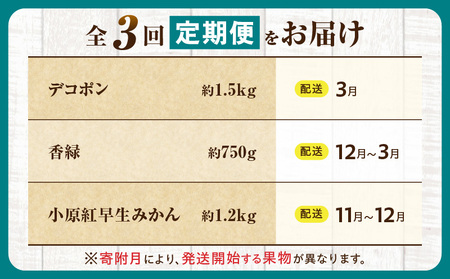 とれたて果物 3回定期便H |果物 フルーツ 果物定期便 フルーツ定期便 定期便キウイデコポンみかん 濃厚 旬の果物 定期 人気 おすすめ 贈答 贈り物 青果物 糖度 香川県 |_mk165-t072