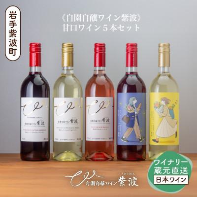 ふるさと納税 紫波町 【自園自醸ワイン紫波】甘口ワイン5本セット