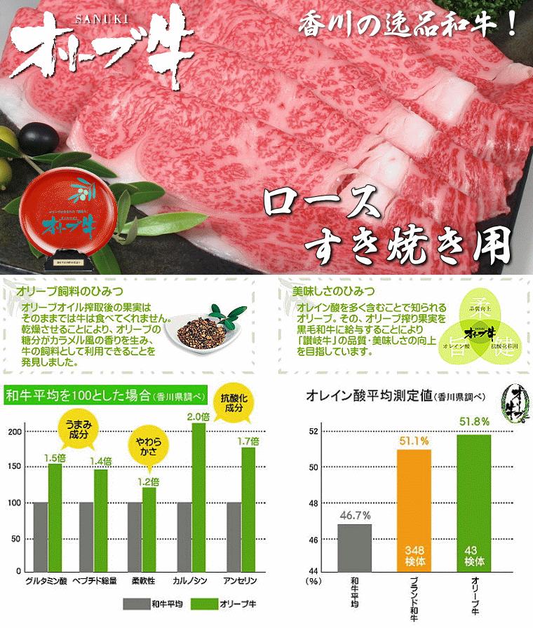 【ふるさと納税】黒毛和牛オリーブ牛ロースすき焼き用　約500ｇ×２