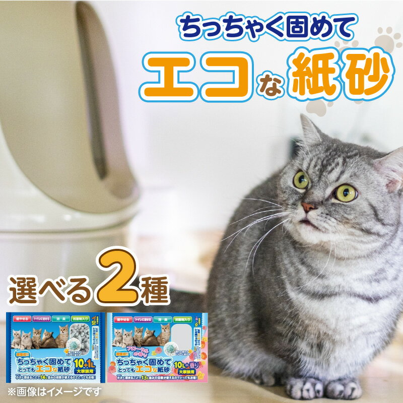 【ふるさと納税】紙砂 選べる セット内容 大家族用 11L×5袋 フローラルの香り 10L×5袋 猫用 主原料 再生紙 環境に優しい 猫砂 小さく 固まる 色 変わる 粉立ち 少ない 燃えるゴミ 処理 簡単 愛猫 猫 日用品 消耗品 ペット用品 福岡県 久留米市 送料無料
