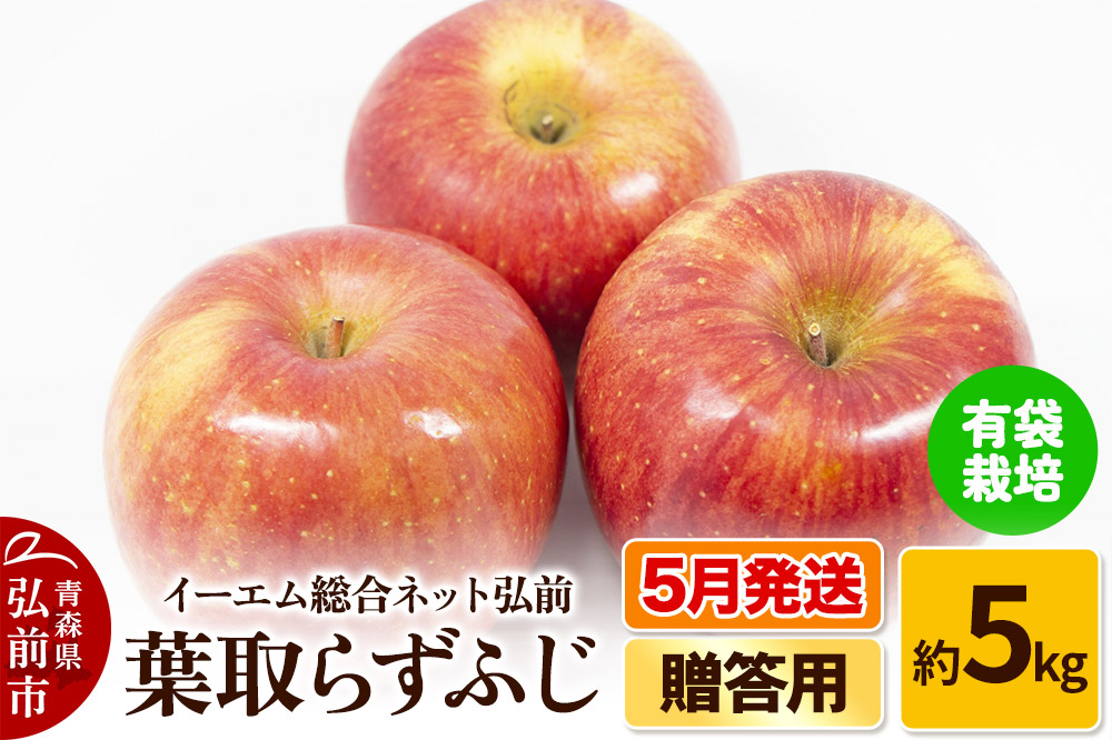 【5月発送】りんご 贈答用 葉取らず ふじ 約5kg（有袋栽培・CA貯蔵）EMりんご
