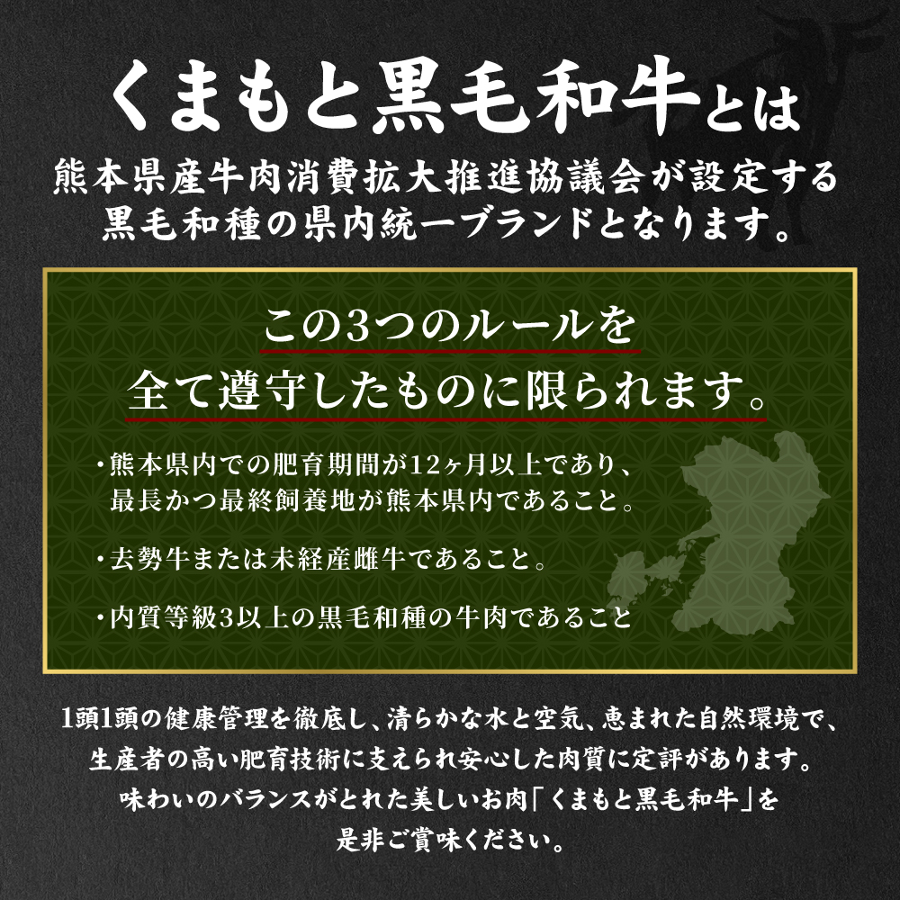 くまもとDREAMバーグ 150g×5 くまもと黒毛和牛100% ハンバーグ 黒毛和牛 おかず 惣菜 洋食 お肉 肉 牛肉 にく 冷凍 熊本県 八代市