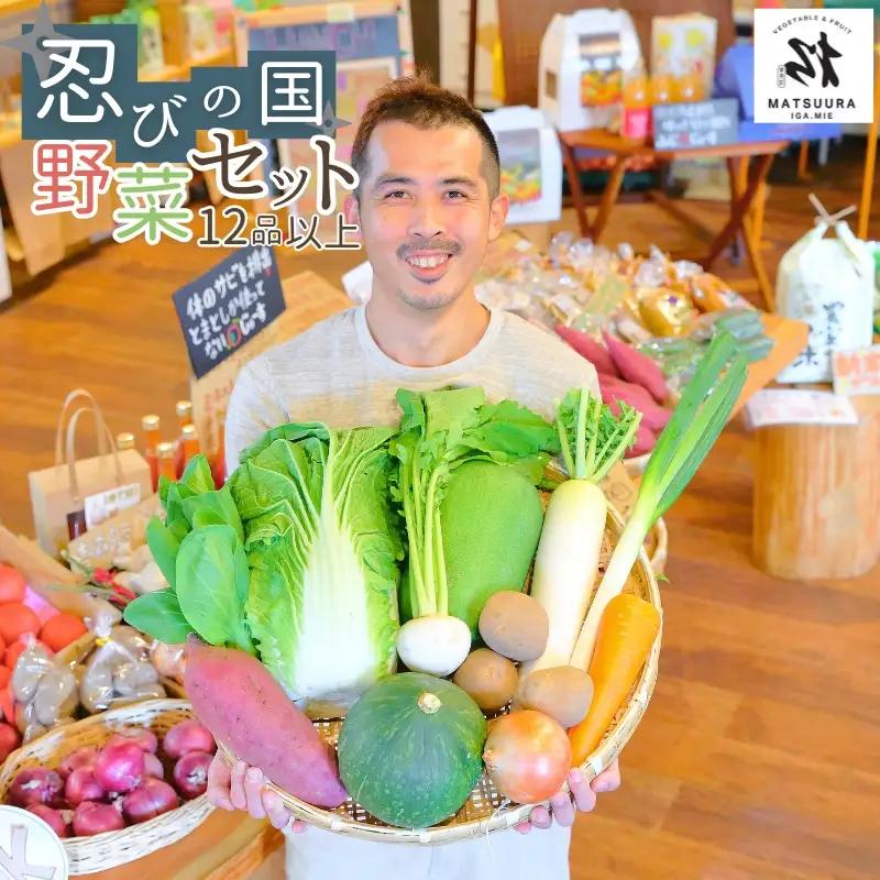 野菜 忍びの国の野菜セット（12品以上）【mtur0001】