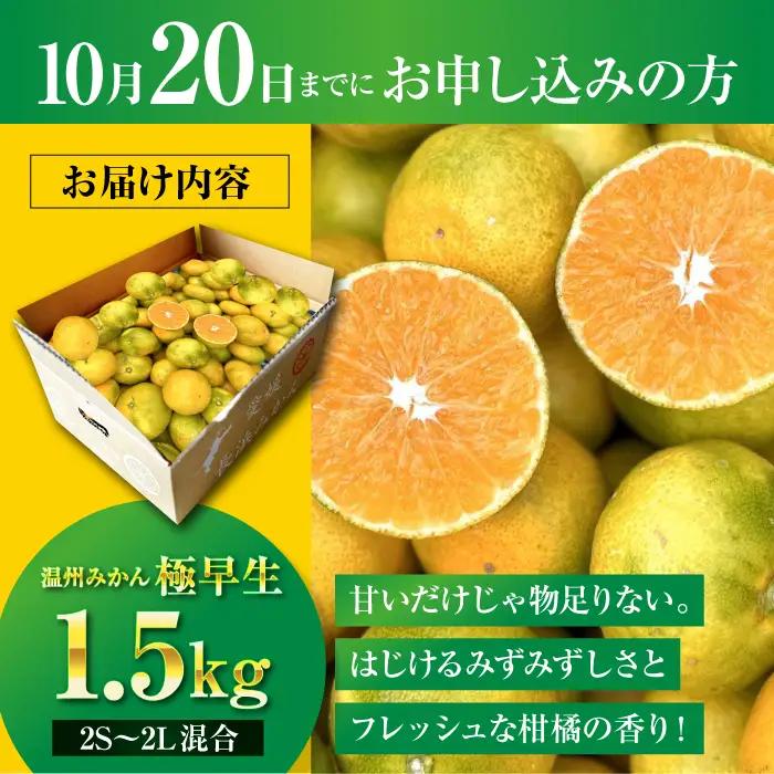 みかん みかん 1.5kg （2S-2L）[AGBC020]