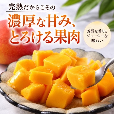 【2027年6月下旬から順次発送・家庭用】JAおきなわ厳選 完熟アップルマンゴー2kg(3～7玉)【配送不可地域：離島】