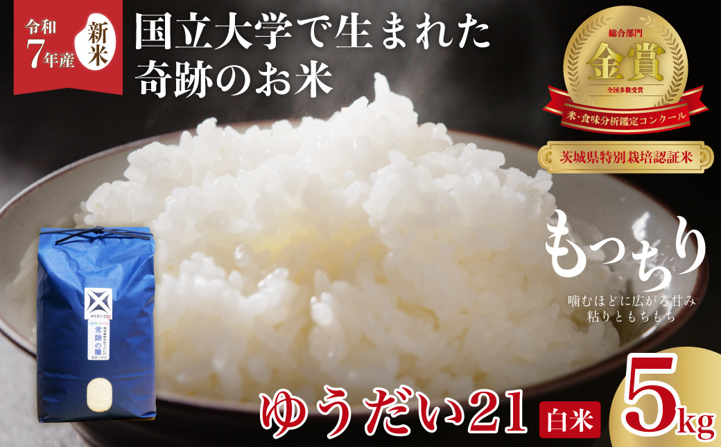 
            【先行予約 令和7年産 新米】食味コンクール最高賞 品評会を席巻した奇跡のお米 ゆうだい21 白米５kg | ゆうだい21 常陸の瞳  ブランド米 宇都宮大学 GAP認証 森 ミネラル 水 最高賞 品評会 安全 安心 美味しい 米 粘り もちもち 食感 希少品種 冷めても おいしい 茨城県 常陸太田市 
          
