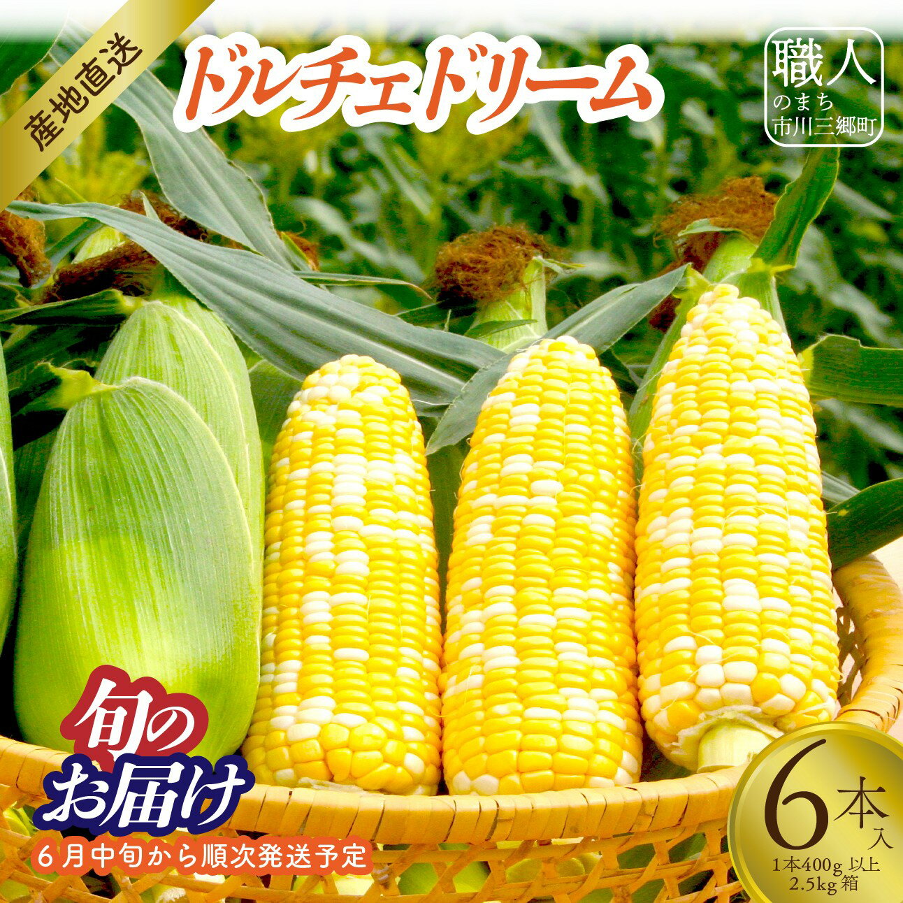 【ふるさと納税】【2025年6月中旬から発送】とうもろこし「ドルチェドリーム」6本入り 1本400g以上 2.5kg箱 株式会社アグリ甲斐（山梨県市川三郷町産）[5839-2214]