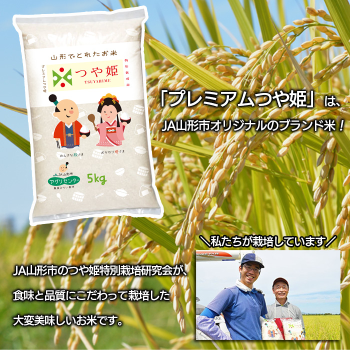 【定期便6回】プレミアムつや姫(特別栽培米)5kg・雪若丸5kg 1