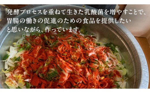 嬬恋 野菜 の キムチ 3種 各300g 韓国 韓国グルメ 詰め合わせ 食べ比べ 小分け 嬬恋キャベツ 白菜キムチ 本格 キャベツ カクテキ 大根 白菜 野菜 バラエティーセット 鍋 ごはん ごはんのお供 おかず 漬物 発酵 腸活 [AF031tu]