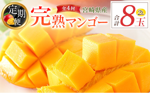 
            宮崎特産「完熟マンゴー2L×2玉」お届け定期便（全4回）計8玉 特産 国産 果物 フルーツ 旬 産地直送【F143-26】
          