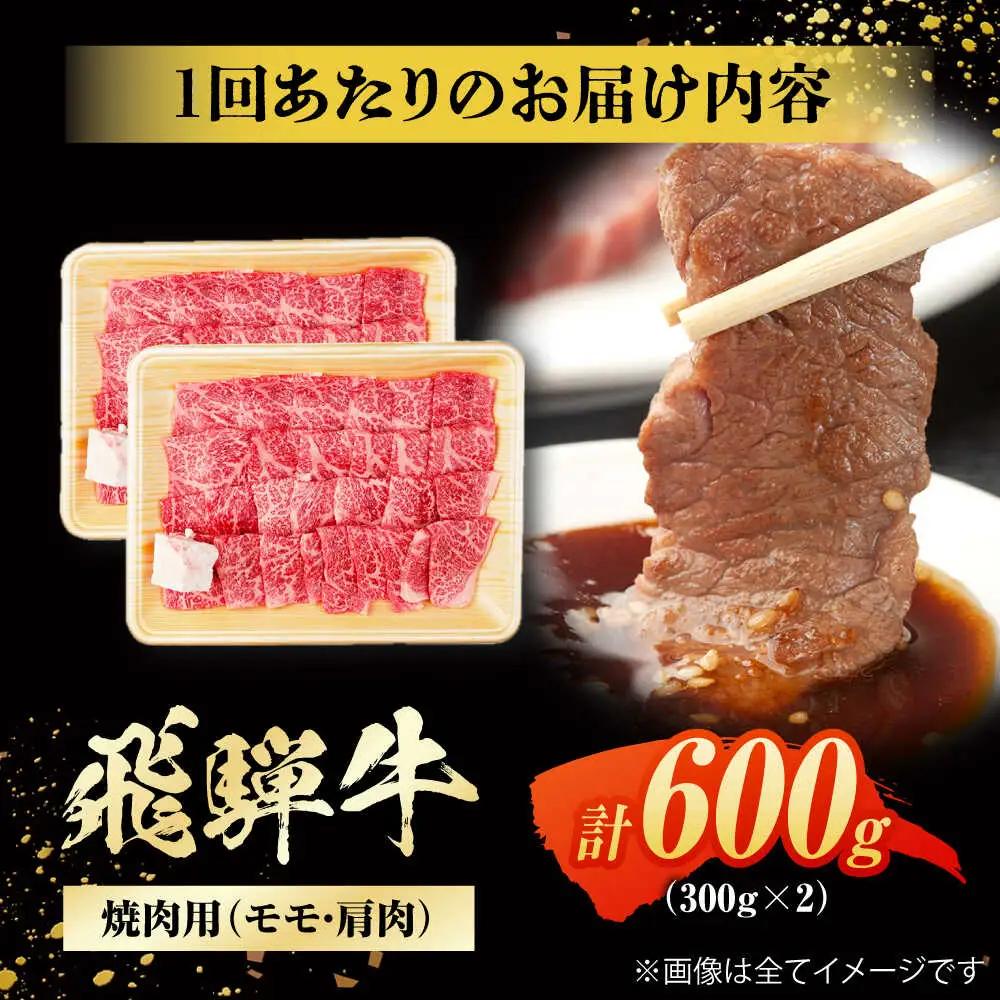 【6回定期便】飛騨牛 焼肉用赤身 600g / 浅井商店[AWBJ013] 飛騨牛