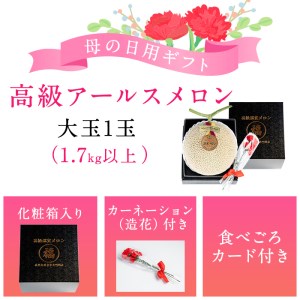 【0151112a-M】＜母の日ギフト・数量限定＞高級アールスメロン(大玉1玉・1.7kg以上、カーネーション(造花)付) メロン フルーツ 果物 果実 1キロ 数量限定 期間限定 贈答 贈り物 母の