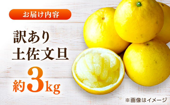 【先行予約】高知県産 訳あり 土佐文旦 約3kg 〈2027年1月下旬頃から発送〉 / 傷 シミの訳アリ  大容量 ぶんたん 文旦 訳あり わけあり 果物 【株式会社　四国健商】 [ATAF151]