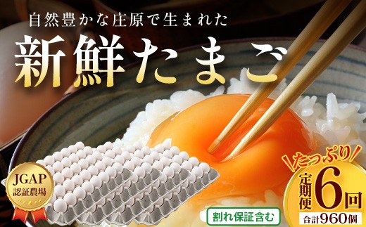 
                  定期便 6回配送 新鮮 たまご 160個×6回 合計960個 | 自然豊かな庄原で生まれた 新鮮たまご 広島県 庄原市 卵 たまご 玉子 タマゴ 鶏卵 生卵 ワケアリ 訳アリ MSサイズ～2Lサイズ サイズ混合 サイズ指定不可
                